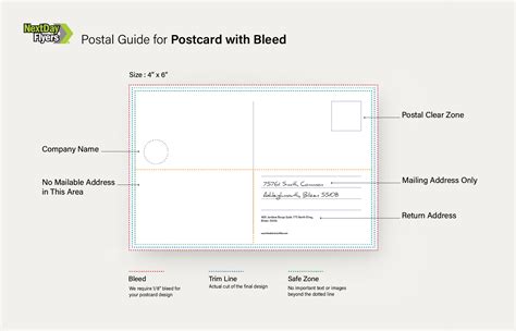 Postcard Size Template