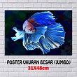 Poster Ikan Cupang Design Background