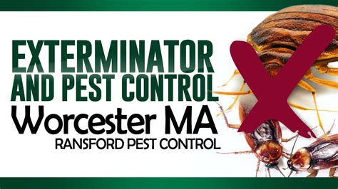 Power Pest Control