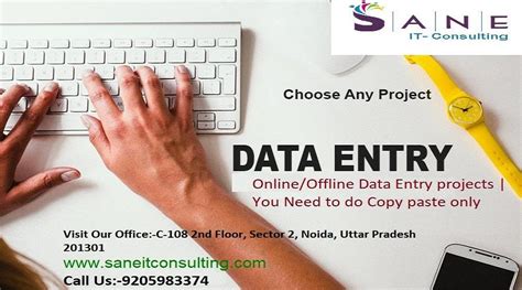 Prachi infosys Online Offline Data Entry Services