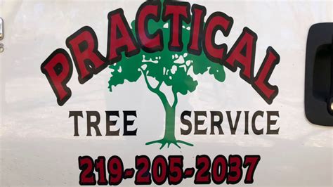 Practical Tree Care & Landscaping