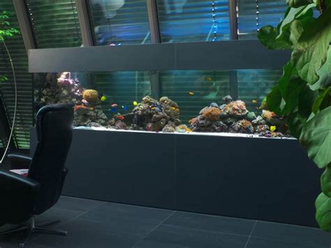 Premium Aquarium