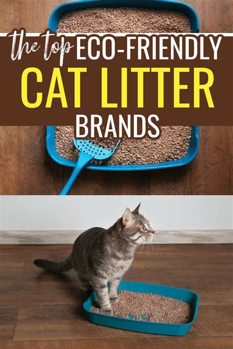 Premium Eco Friendly Cat Litter Online