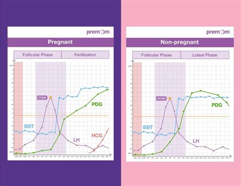Premom Chart Pregnant