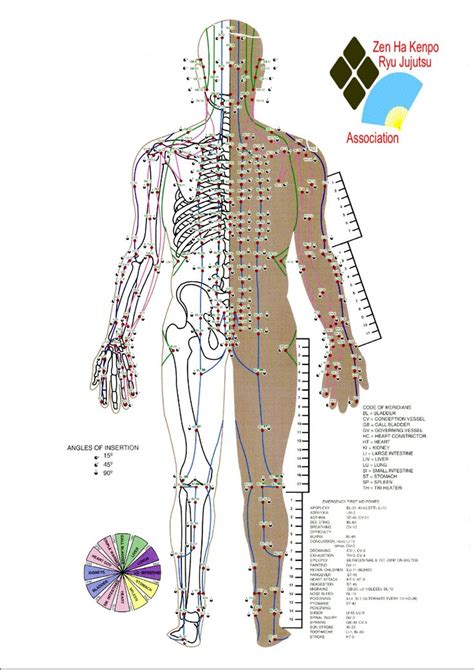 Pressure Point Chart