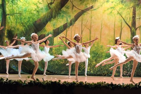 Primrose Hill Ballet Schools