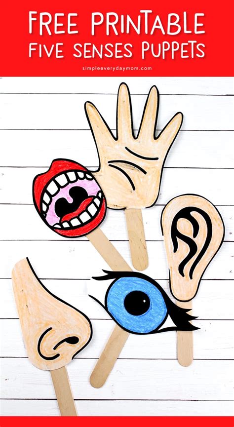 Printable 5 Senses Craft