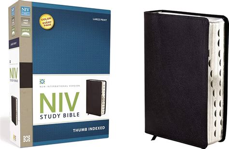 Printable Bible Niv