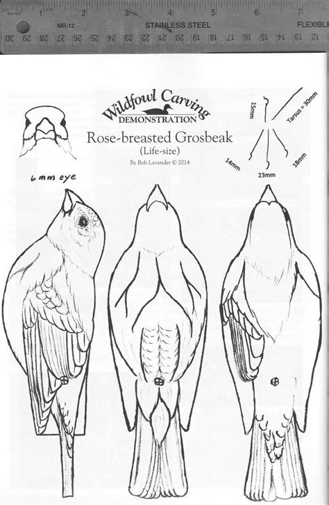 Printable Bird Carving Patterns