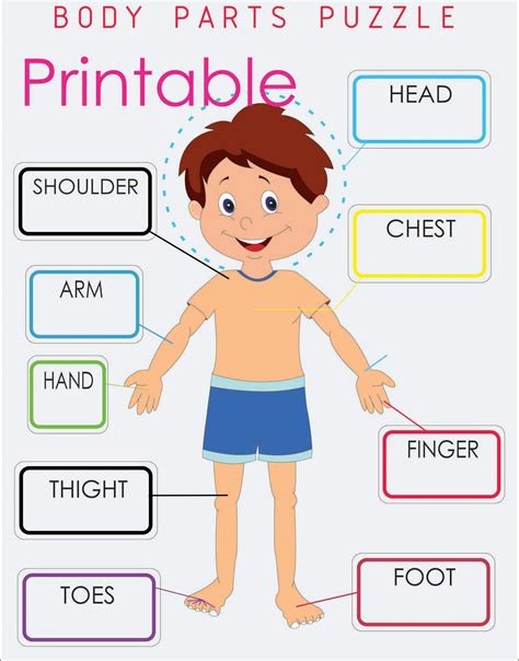 Printable Body Parts