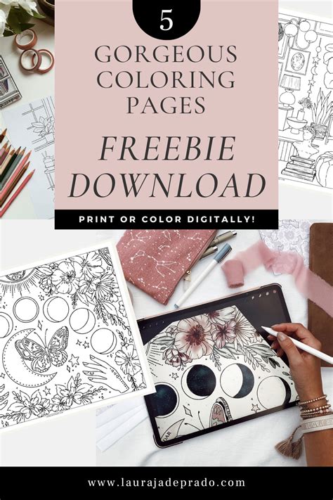 Printable Coloring Adult Coloring Books Digital Art Digital Colouring Pages