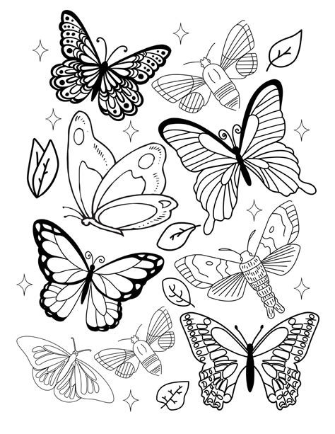 Printable Coloring Pages Butterfly