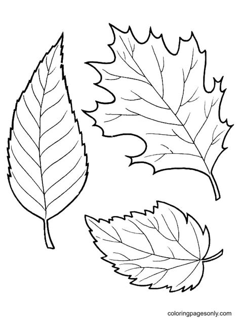 Printable Coloring Pages Fall Leaves