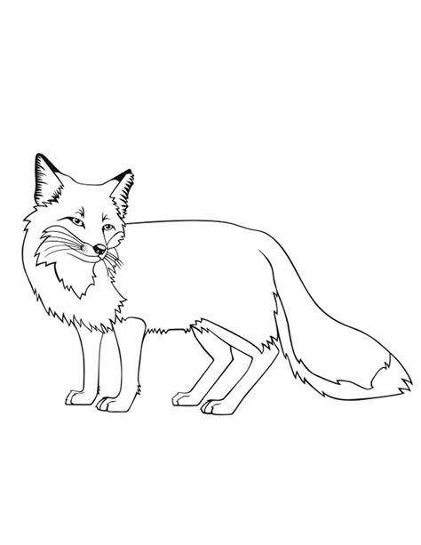 Printable Coloring Pages Fox