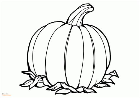 Printable Coloring Pumpkins