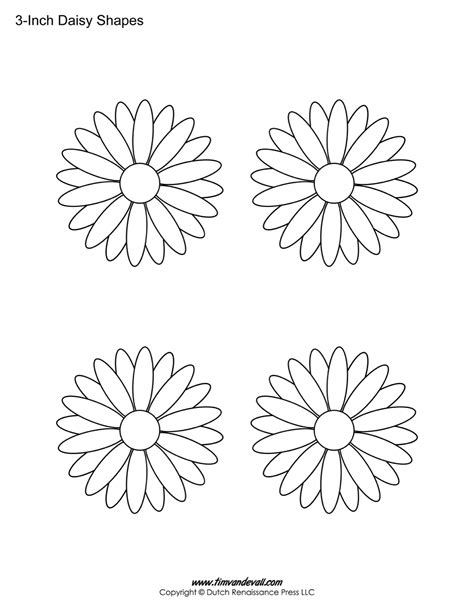 Printable Daisy Flower Template