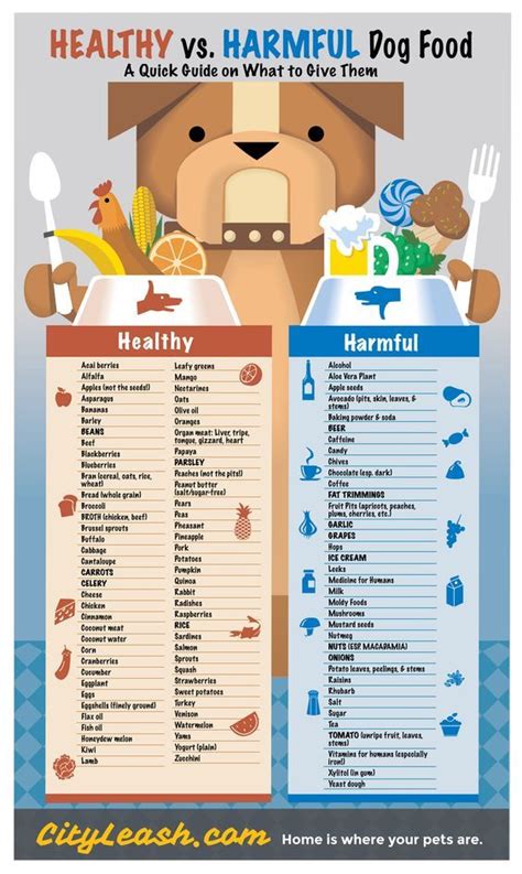 Printable Dog Safe Food Chart