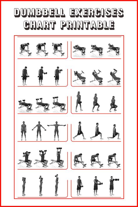 Printable Dumbbell Exercises