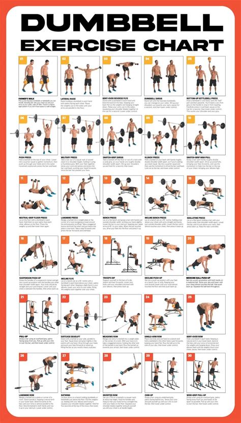 Printable Dumbbell Workout Chart