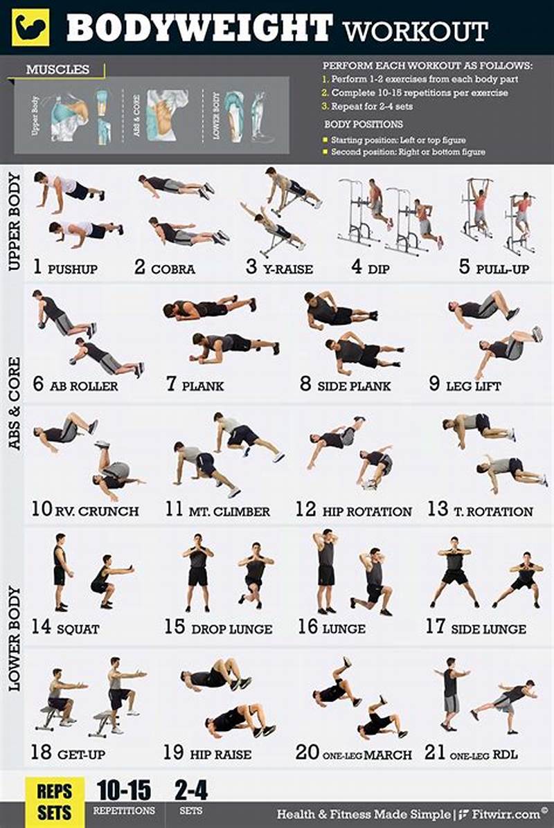 Printable Exercise Program