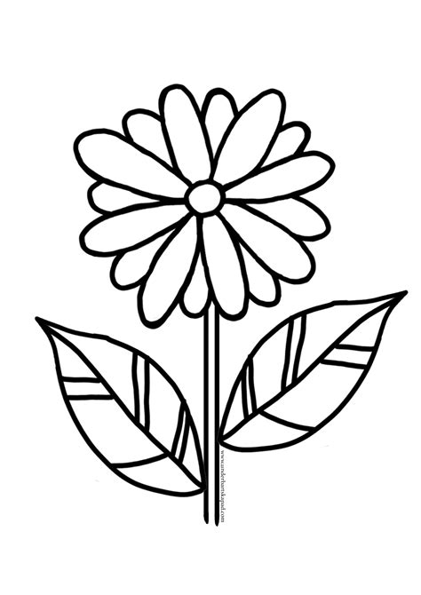 Printable Flower Coloring Pictures