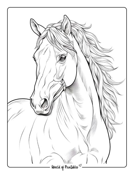 Printable Horse Colouring Pages