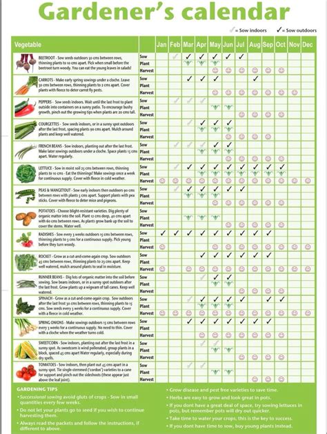 Printable Veg Planting Calendar