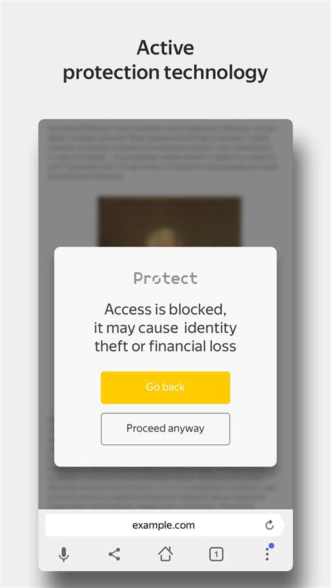 Privacy Protection Yandex Browser