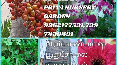 Priya Nursery Garden