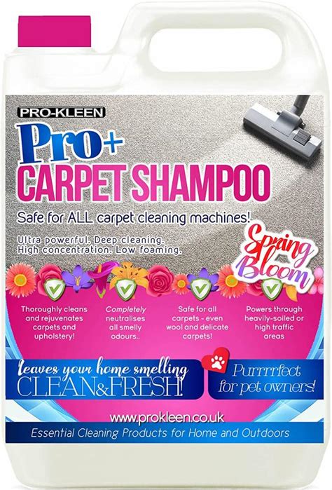 Pro Kleen carpet And Upholstery cleaners
