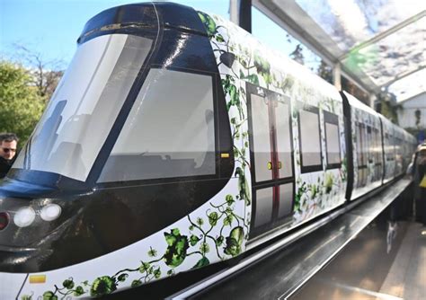 Probat34 à Montpellier