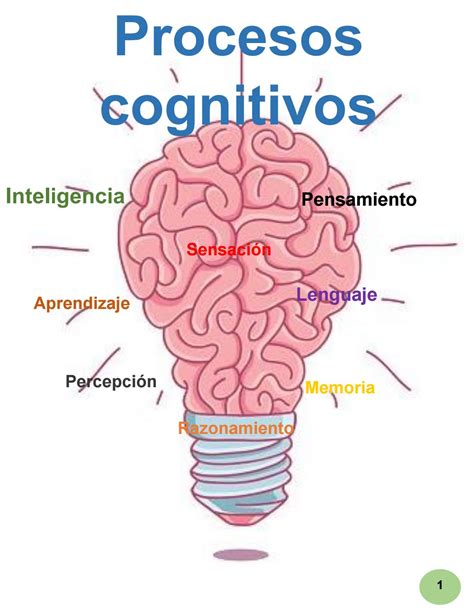 Cognitivo Memoria