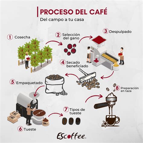 Del Cafe