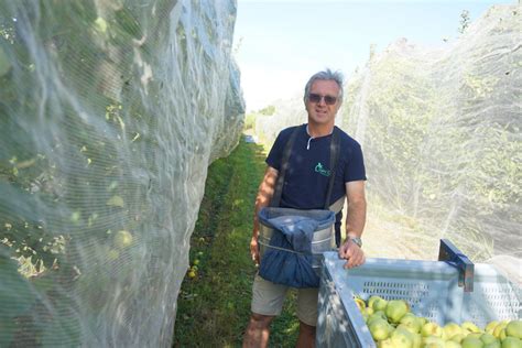 Prodifruits à Cavaillon