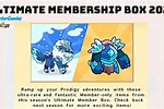 Prodigy Game Membership Box