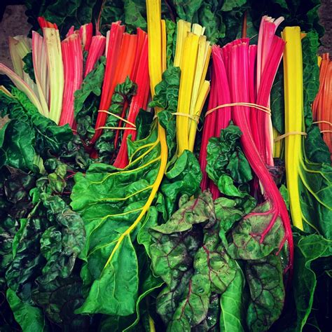 Prodisco à Rungis Complexe