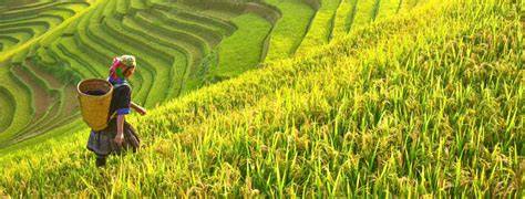 Produk Agrikultur