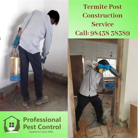 Professional Pest Control Services