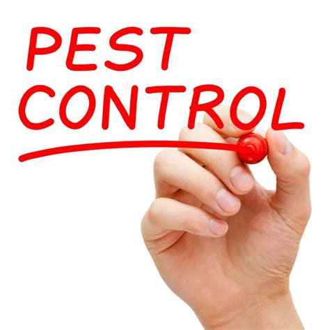 Professional Pest Control Vizag