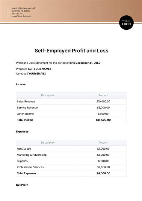 Profit And Loss Statement Template For Self Employed