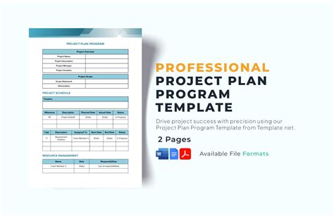 Program Plan Template