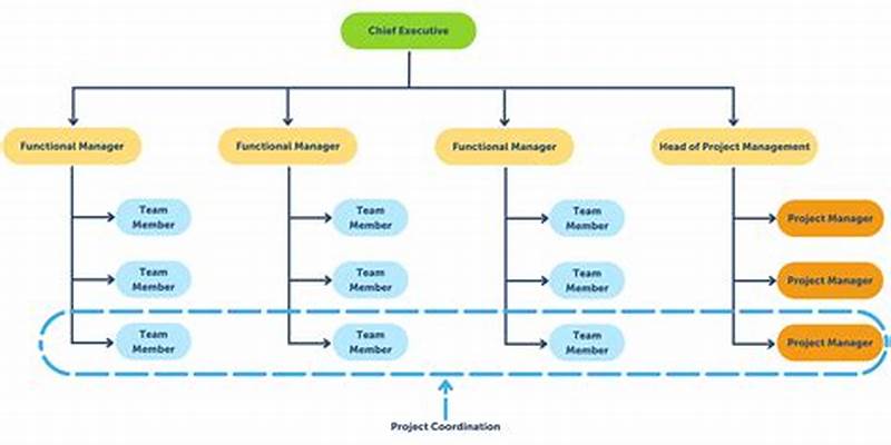 Project Management Org Chart