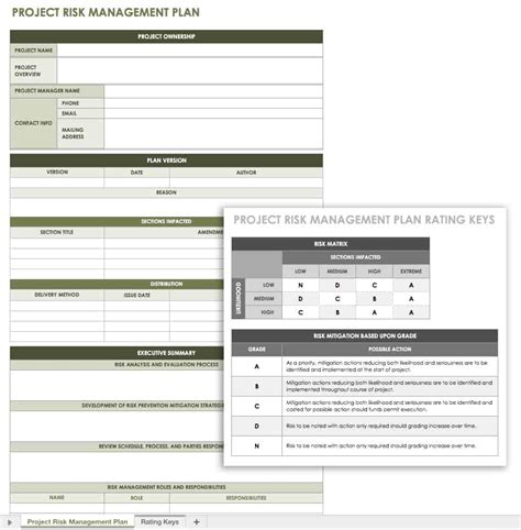 Project Management Risk Management Template