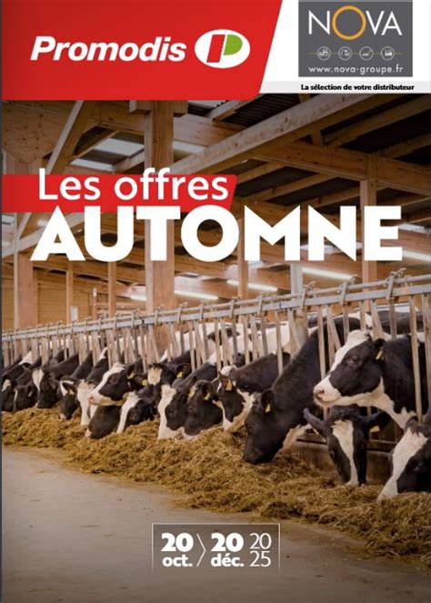 Promodis à Nalliers