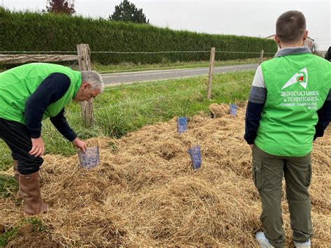 Prot Gilles à Merles-sur-Loison