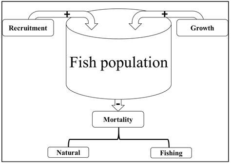 Protecting Pogie Fish Populations