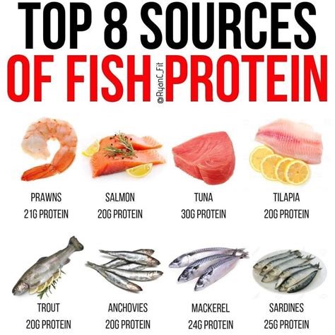 Protein Content of Fish