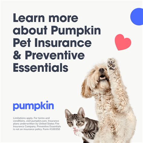 Pumpkin Pet Insurance Cost