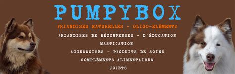 Pumpybox à Soustons