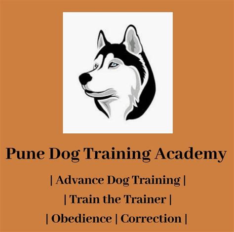 Pune Chennai dog training academy